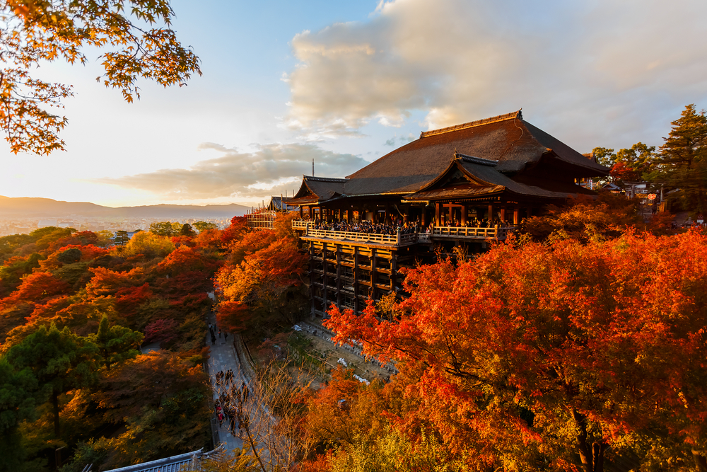 京都で知名度が高い清水寺は紅葉の名所としても有名